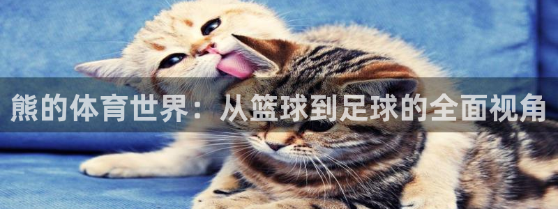 谈球吧体育