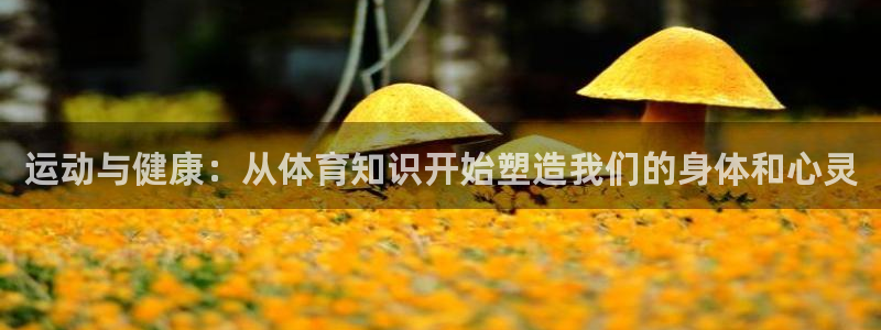 谈球吧体育官网