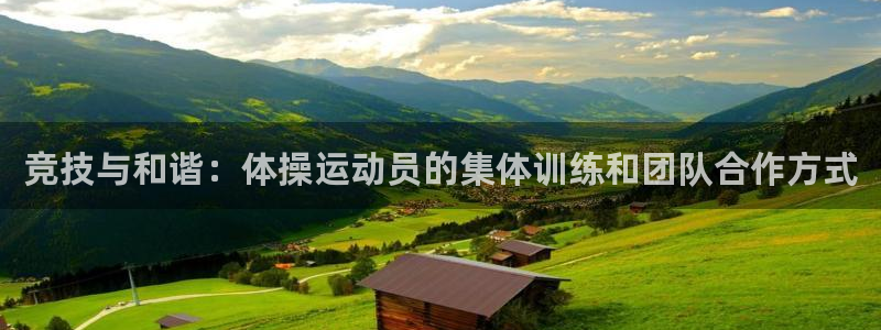 谈球吧体育官网