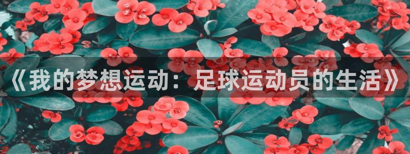 谈球吧体育官网