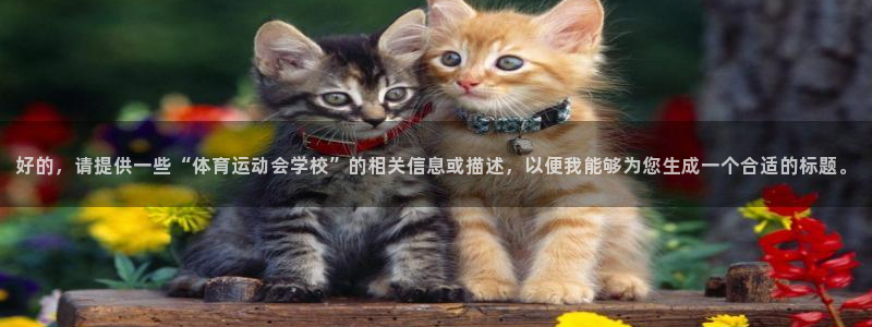 谈球吧