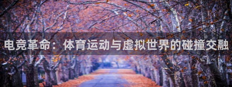 谈球吧