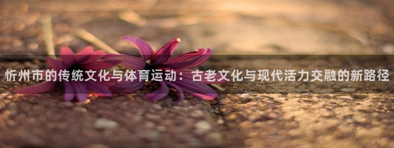 谈球吧