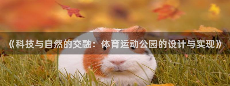谈球吧