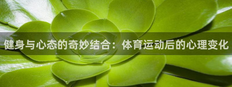 谈球吧