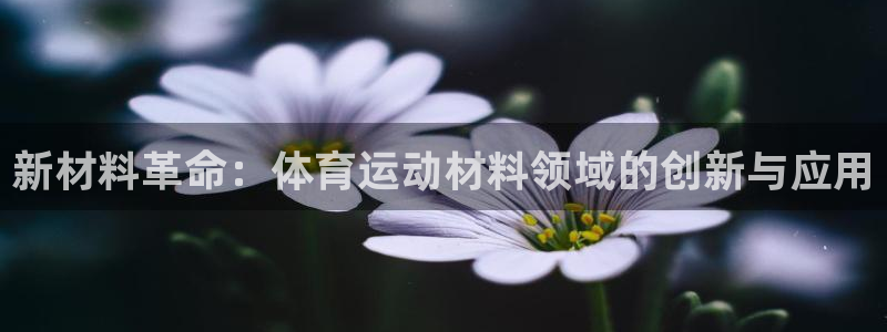 谈球吧
